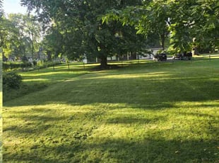Trisha M.'s lawn service service result