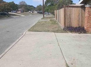 James S.'s turf care service result