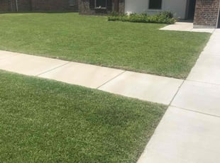 Hector N.'s lawn service service result