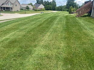Jourdan W.'s turf care service result