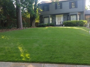Levy P.'s lawn service service result