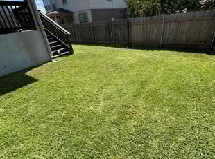 Lederian J.'s grass maintenance service result