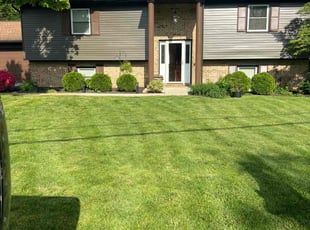Amberlee H.'s lawn maintenance service result
