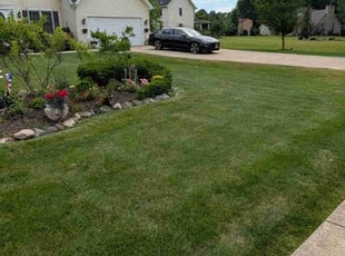 Courtney I.'s lawn care service result