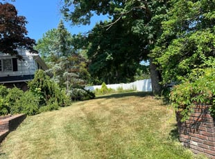 Howard V.'s lawn care service result