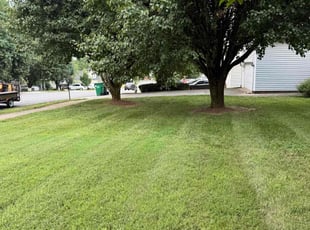 Melisa H.'s lawn care service result