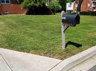 Michael M.'s lawn service service result