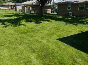 Kevan C.'s lawn maintenance service result