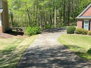 Soutik D.'s lawn service service result