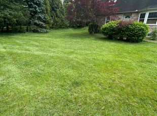 Melanie J.'s lawn care service result