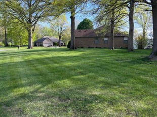Mark L.'s grass cutting service result