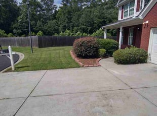 Nick D.'s lawn maintenance service result