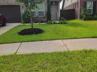 Lewis H.'s lawn maintenance service result