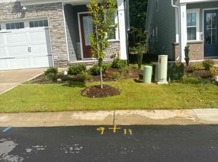 Joy T.'s grass cutting service result