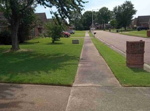 George D.'s grass maintenance service result