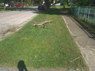 Tom F.'s lawn service service result