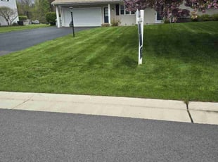 Mary C.'s grass cutting service result