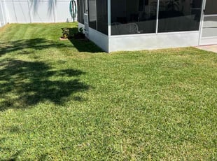 Michelle W.'s grass cutting service result