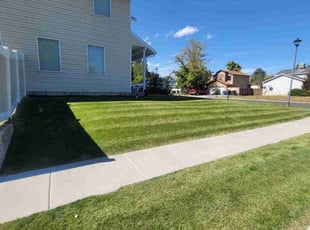 Donitta E.'s lawn care services service result