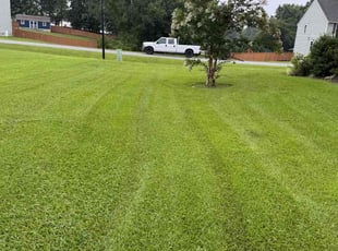Sean M.'s lawn care services service result