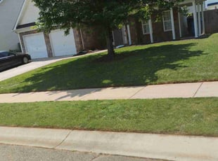 Megen G.'s lawn care service result