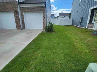 Vickie O.'s turf maintenance service result