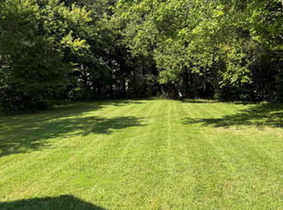 John K.'s grass maintenance service result