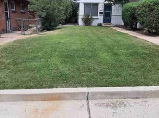 Michael G.'s lawn maintenance service result