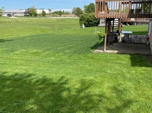 Michelle C.'s turf care service result