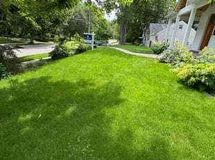 Kathern C.'s lawn care service result