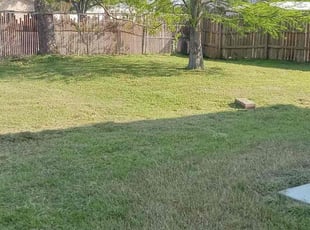 Madison C.'s lawn care service result