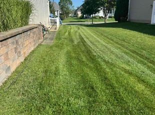 Linda O.'s lawn care service result