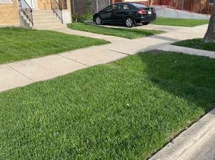 Keith J.'s lawn care service result