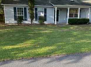 Deborah C.'s grass maintenance service result