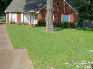 Shelly G.'s turf care service result