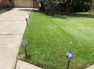 Clara D.'s grass cutting service result