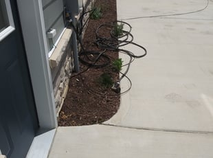 Dana S.'s Flower Bed Weeding service result