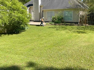 Valerie P.'s turf care service result