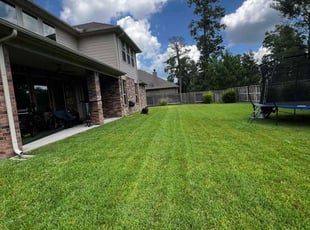 Crystal P.'s grass maintenance service result