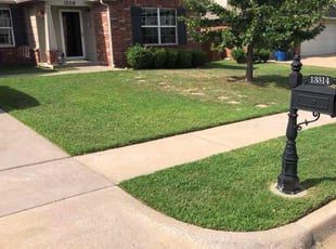 Ellie C.'s turf maintenance service result