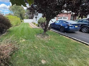 Rhonda B.'s lawn care services service result