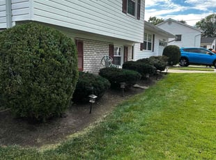 Patrice R.'s Bush Trimming service result