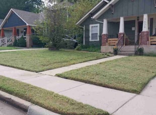 Ken R.'s grass maintenance service result