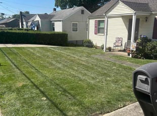 Vivian G.'s turf care service result
