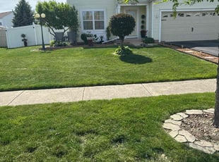 Timothy P.'s Other service result