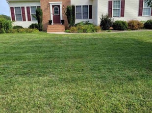 Judy M.'s turf care service result