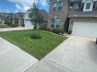 Lisa J.'s lawn care services service result