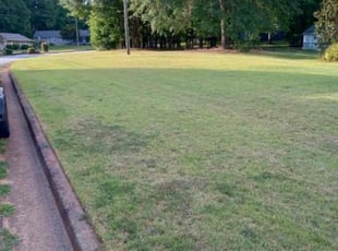 Deborah H.'s turf maintenance service result