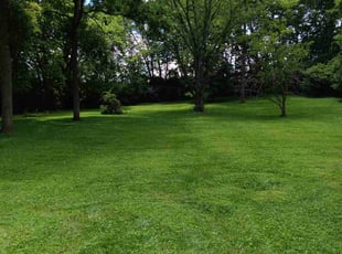 Reed f.'s grass cutting service result