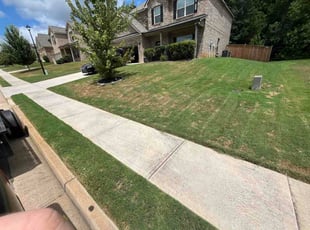 Tom H.'s turf care service result